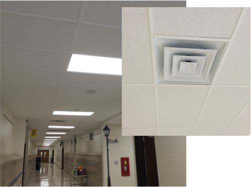 rawlinson road ceiling 